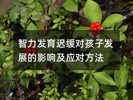 ltӰlչӰ푼