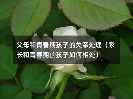 父母和青春期孩子的關系處理(家長和青春期的孩子如何相處)