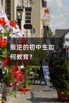 叛逆的初中生如何教育?