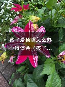 孩子愛頂嘴怎么辦心得體會(huì)(孩子愛頂嘴怎么辦家長(zhǎng)課程)
