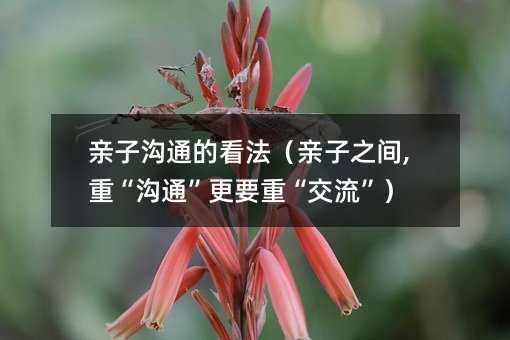 親子溝通的看法(親子之間,重“溝通”更要重“交流”)