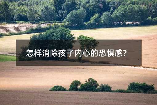 怎樣消除孩子內(nèi)心的恐懼感?