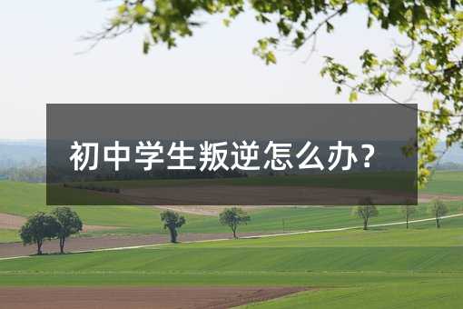 初中學生叛逆怎么辦?
