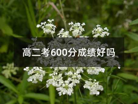 高二考600分成績好嗎