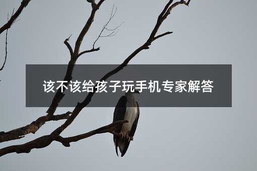 該不該給孩子玩手機(jī)專家解答