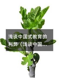 淺談中國式教育的利弊(淺談中國式教育面臨的就業問題)