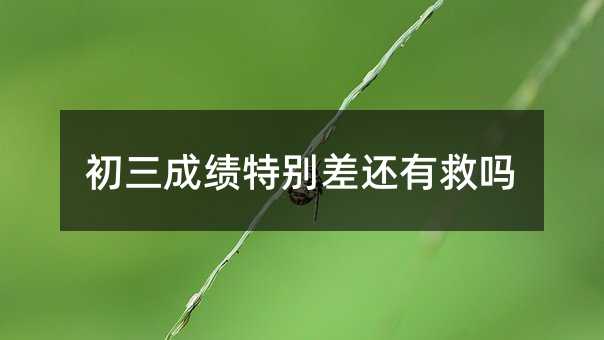 初三成績特別差還有救嗎