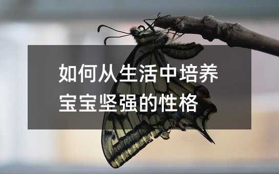 如何從生活中培養寶寶堅強的性格