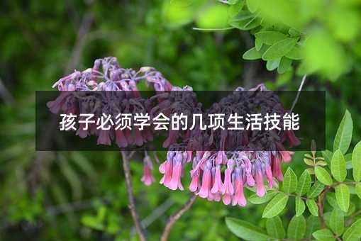 孩子必須學會的幾項生活技能
