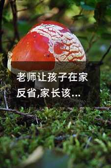 老師讓孩子在家反省,家長(zhǎng)該怎么做