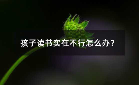 孩子讀書實在不行怎么辦?