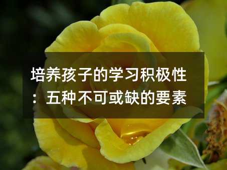 B(yng)ӵČW(xu)(x)eOԣNɻȱҪ