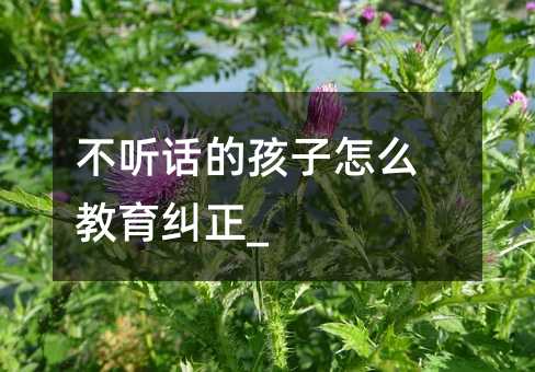 不聽(tīng)話的孩子怎么教育糾正_