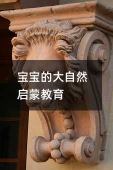 寶寶的大自然啟蒙教育