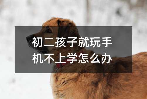 Ӿ֙CόWôk