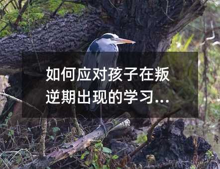 Α(yng)(du)ڳF(xin)ČW(xu)(x)(wn)}