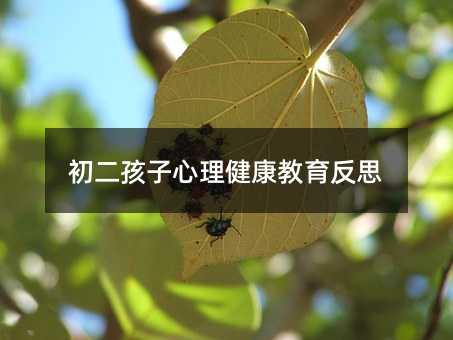 初二孩子心理健康教育反思