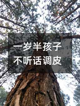 一歲半孩子不聽話調皮