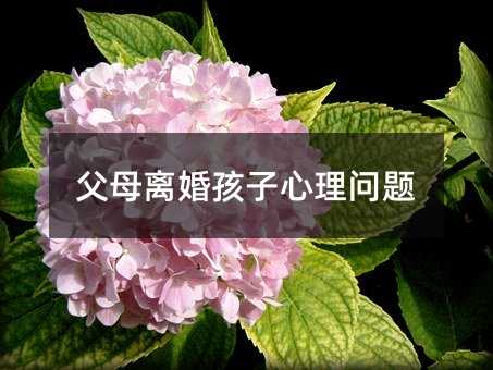 父母離婚孩子心理問題