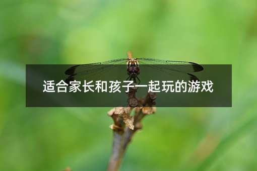 適合家長和孩子一起玩的游戲