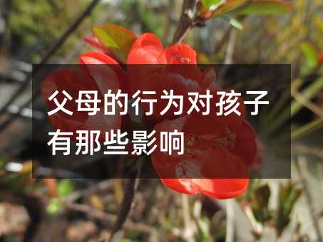 ĸО錦(du)ЩӰ