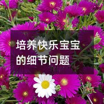 培養(yǎng)快樂寶寶的細(xì)節(jié)問題