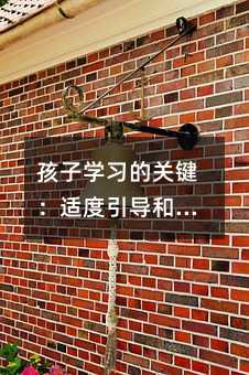 孩子學(xué)習(xí)的關(guān)鍵:適度引導(dǎo)和全面發(fā)展
