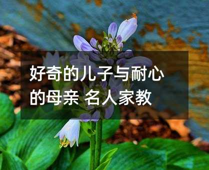 好奇的兒子與耐心的母親 名人家教