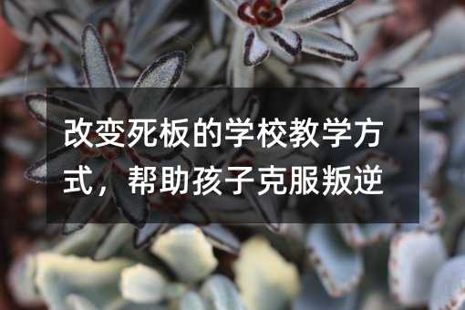 改變死板的學校教學方式,幫助孩子克服叛逆