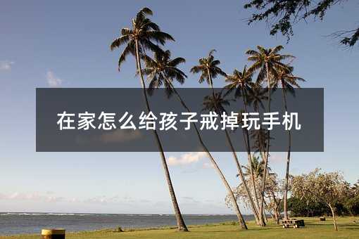 在家怎么給孩子戒掉玩手機