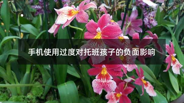 ֙C(j)ʹ^Ȍ(du)аຢӵؓ(f)Ӱ