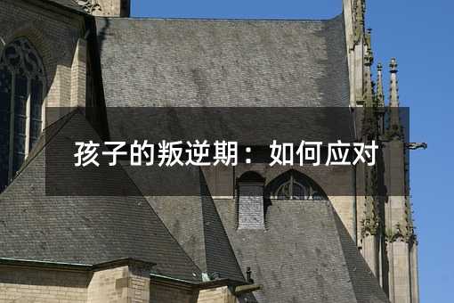 孩子的叛逆期:如何應對