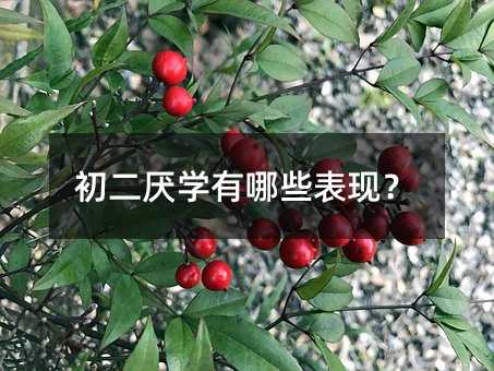 WЩF(xin)