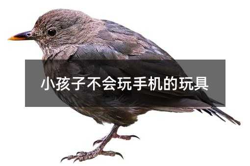 小孩子不會玩手機的玩具
