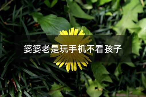婆婆老是玩手機不看孩子