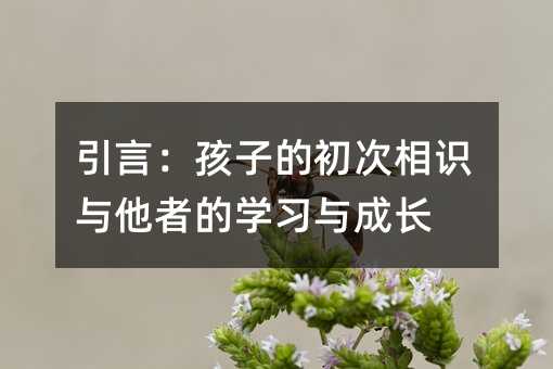 引言:孩子的初次相識與他者的學習與成長