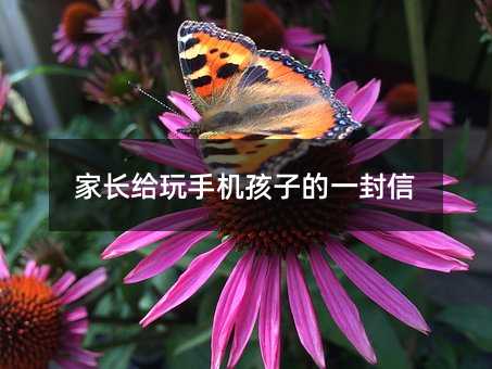 Lo֙Cӵһ