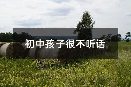 初中孩子很不聽(tīng)話