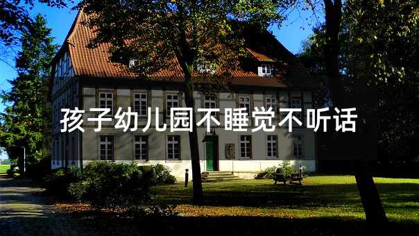 孩子幼兒園不睡覺不聽話