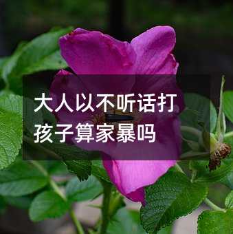 大人以不聽話打孩子算家暴嗎