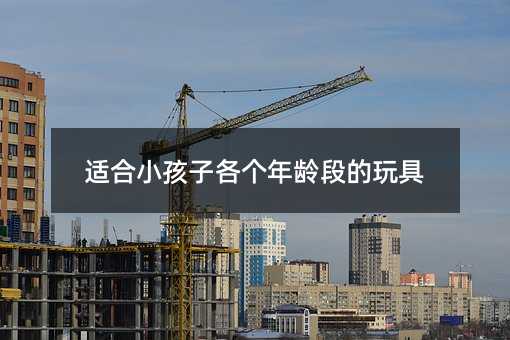 適合小孩子各個年齡段的玩具