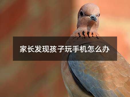 家長(zhǎng)發(fā)現(xiàn)孩子玩手機(jī)怎么辦