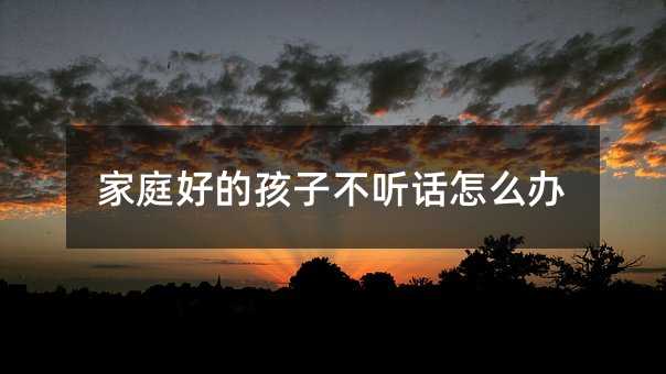 家庭好的孩子不聽話怎么辦