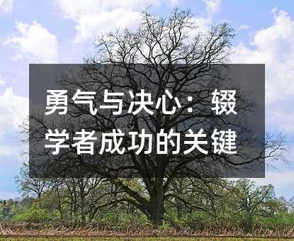 勇氣與決心:輟學(xué)者成功的關(guān)鍵
