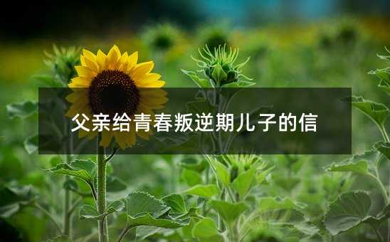 Hoഺڃӵ