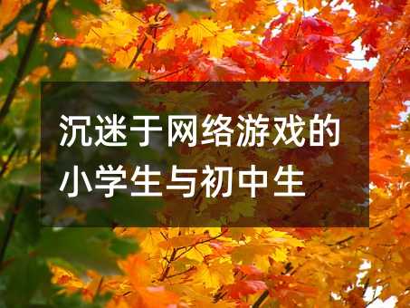 沉迷于網絡游戲的小學生與初中生