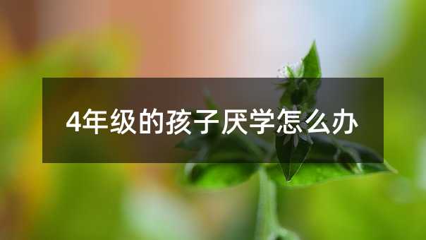 4꼉ĺӅWôk