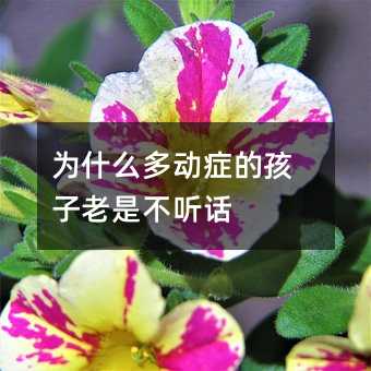 為什么多動癥的孩子老是不聽話