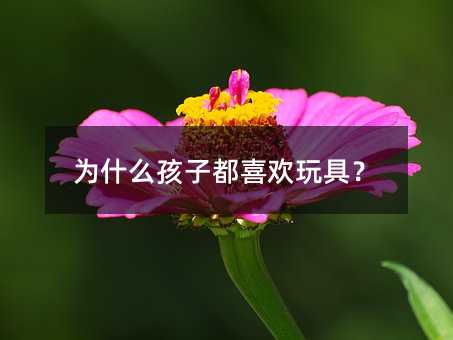 ʲôӶϲgߣ