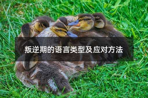 ڵZͼ